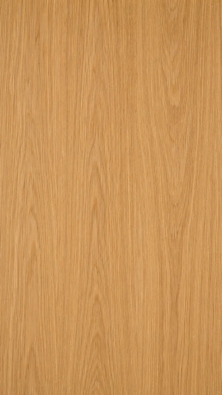 Warm oak veneer wood grain sample